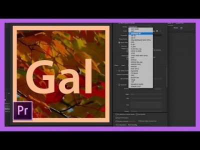 New Animated GIF Export Option in Adobe Premiere Pro CC 2018…