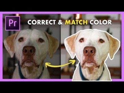 Color Match Different Camera Shots FAST! Adobe Premiere Pro …