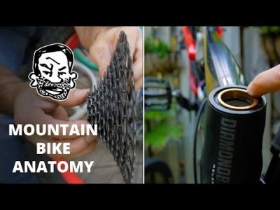 Mountain Bike Anatomy - 50 parts in 5 minutes